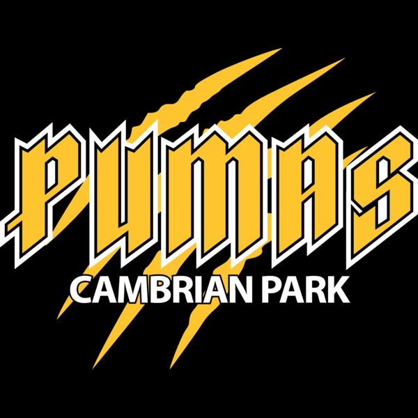 Pumas baseball logo DTF Thumbnail
